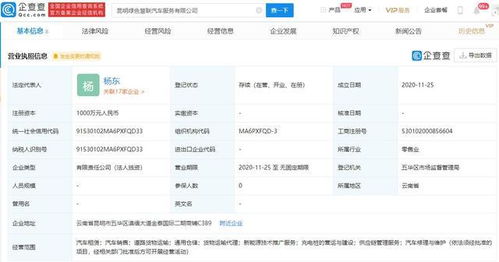 吉利新成立8家公司，技術推廣服務成核心戰略